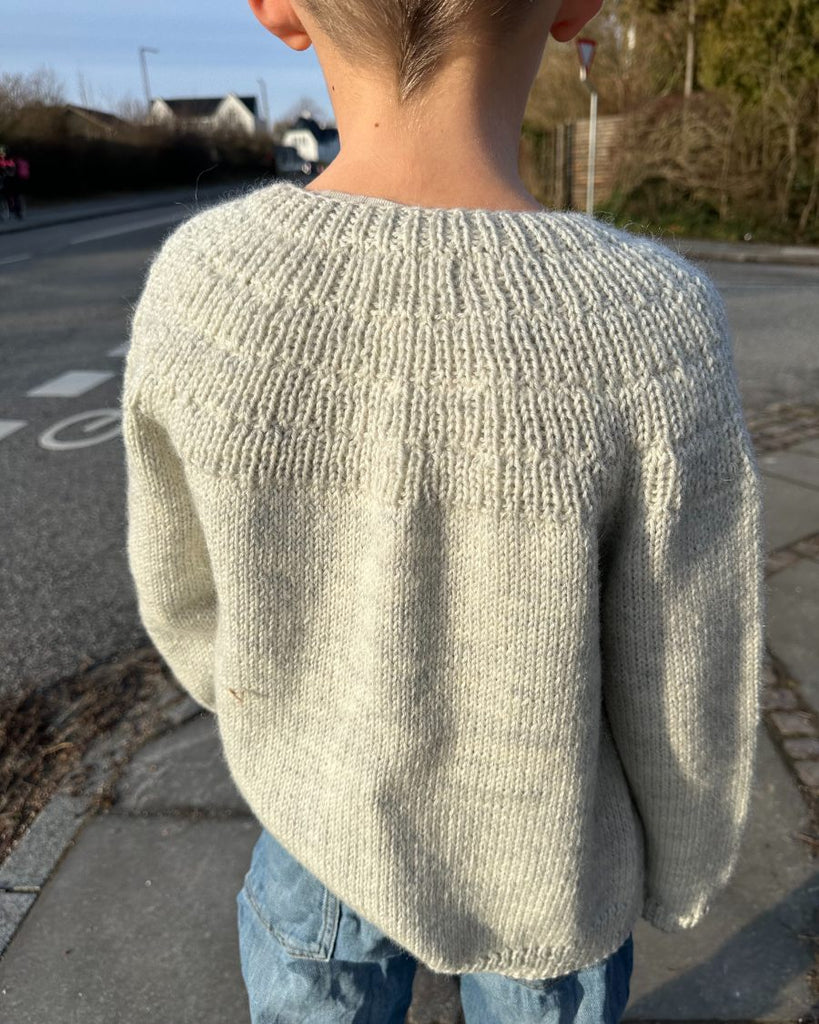 Grå Ankers Jakke set bagfra