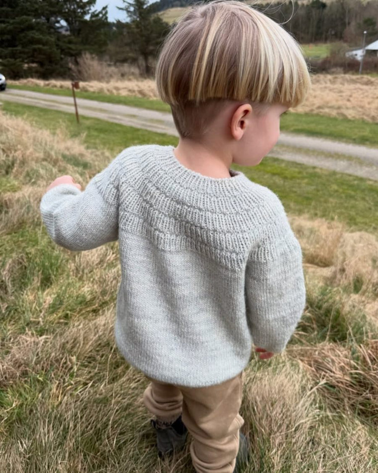 Ankers Pullover