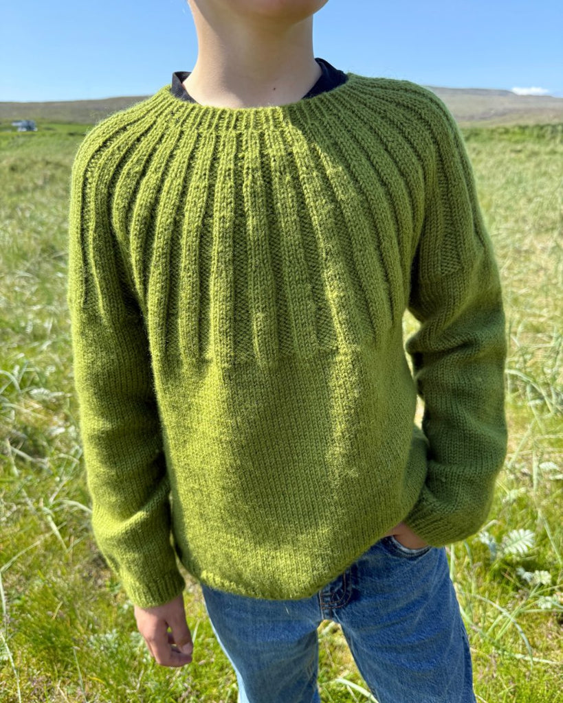 Dreng med grøn Haralds Sweater